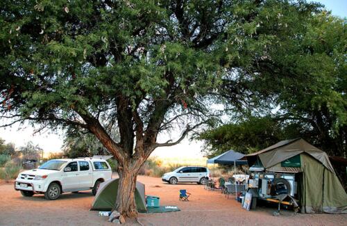 Canyon Road Campsite (1)