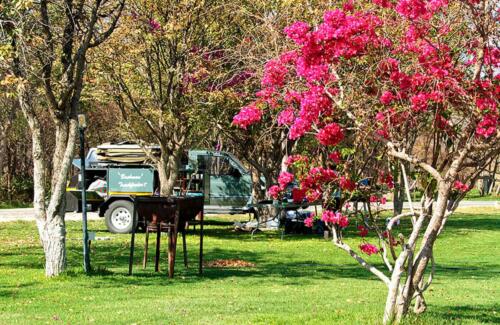 Etosha Safari Campsite (1)