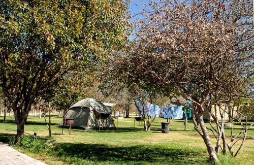 Etosha Safari Campsite (2)