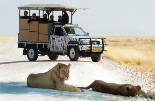 Etosha Safari Campsite (5)