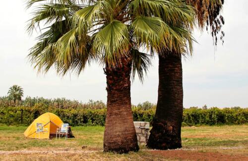 Kalahari Farm Campsite (1)