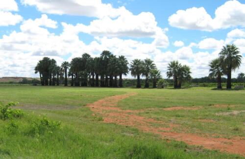 Kalahari Farm Campsite (11)