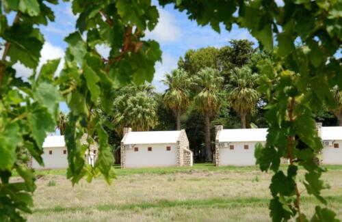 Kalahari Farm Campsite (6)