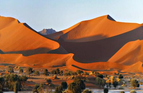 Namib Desert Campsite (10)