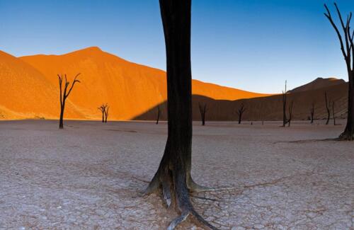 Namib Desert Campsite (11)