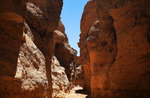 Namib Desert Campsite (12)