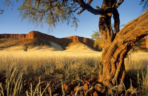 Namib Desert Campsite (2)