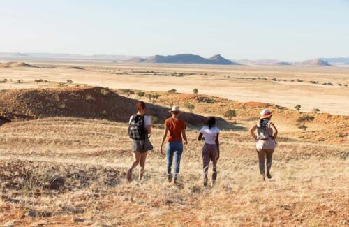 Namib Desert Campsite (4)