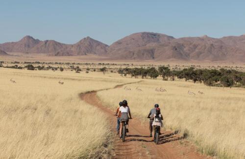 Namib Desert Campsite (5)