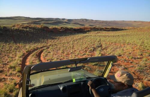 Namib Desert Campsite (6)