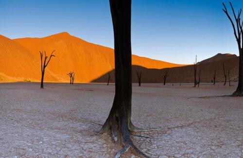 Namib Desert Lodge (9)