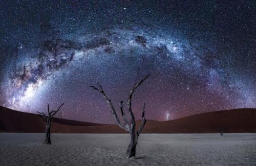 Namib Dune Star Camp (12)