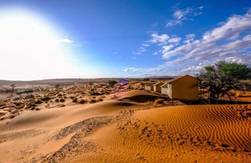 Namib Dune Star Camp (6)