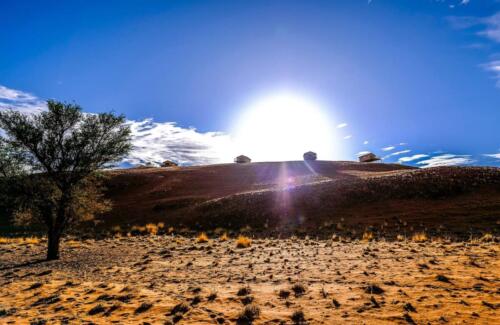 Namib Dune Star Camp (7)