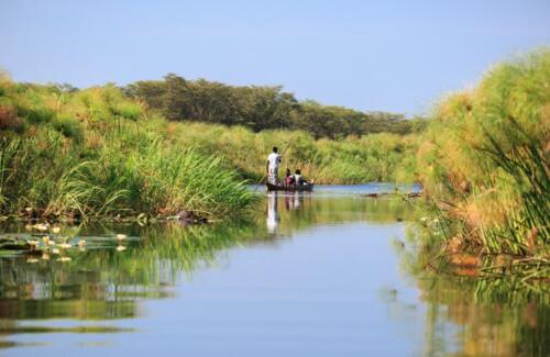 Zambezi Mubala Campsite (4)