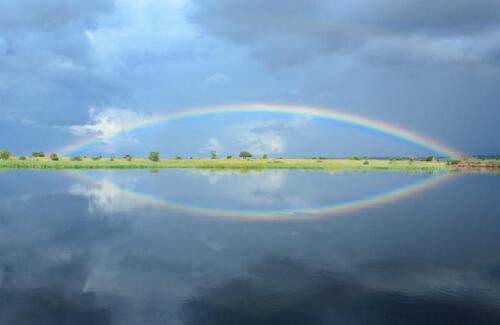 Zambezi Mubala Campsite (7)